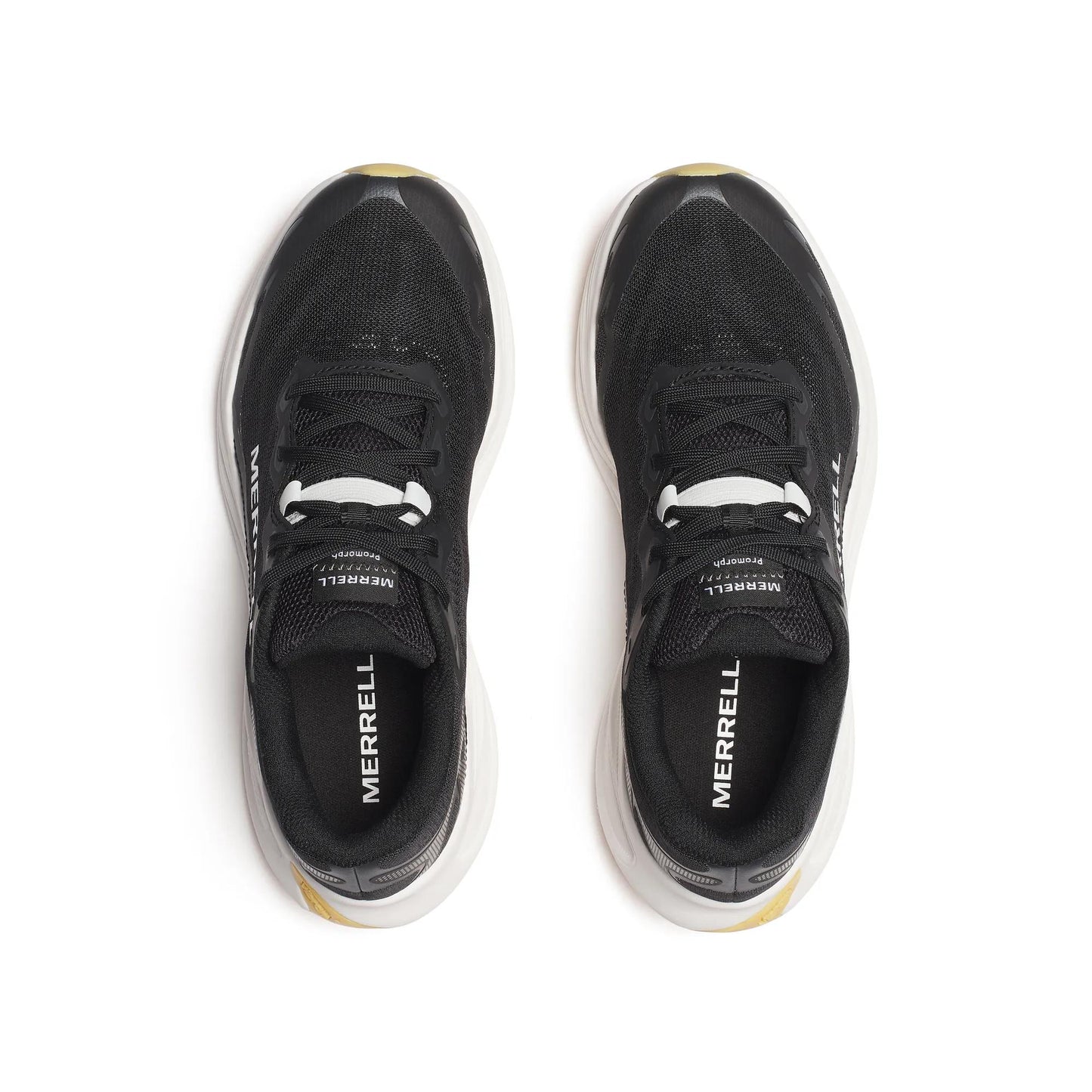 Women's ProMorph - US 3646